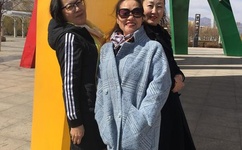 外交官秦纲被策反了吗